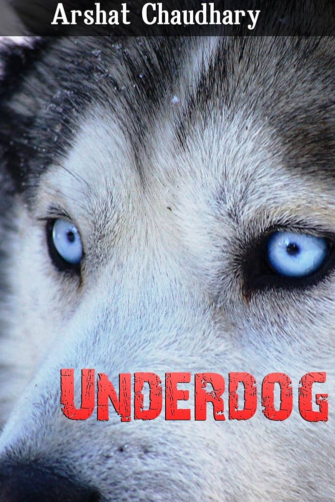 Arshat Chaudhary Novels